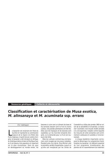 Classification et caractérisation de Musa exotica, M ... - Musalit