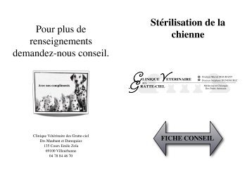 La stérilisation de la chienne - Clinique Vétérinaire à Villeurbanne