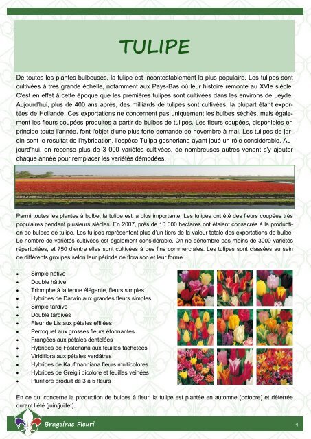 Cataloque bulbes automnaux 2012 - Brageirac Fleuri