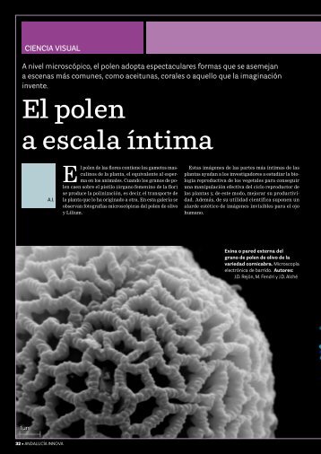 El polen a escala íntima