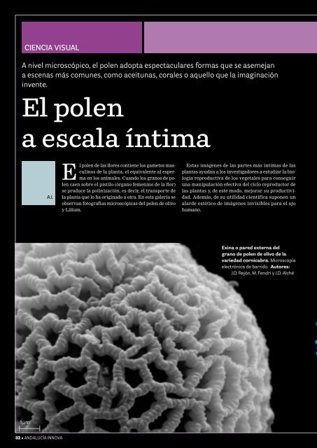 El polen a escala íntima