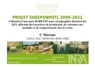 PROJET SHEEPSNPQTL 2009-2011 - Inra