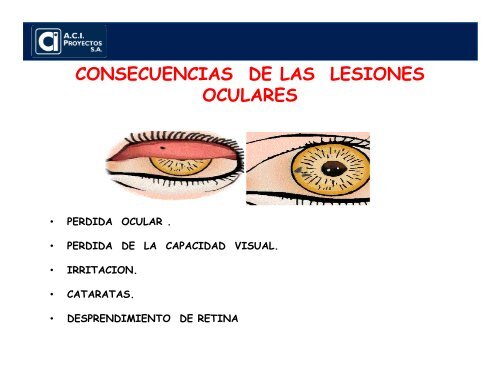 SALUD VISUAL Y AUDITIVA - Colegio Gestión de Riesgo