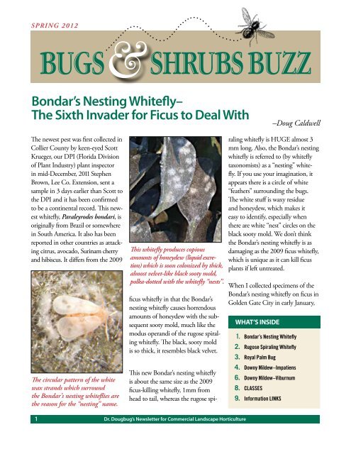 bugs shrubs buzz - Collier County Extension Office - University of ...