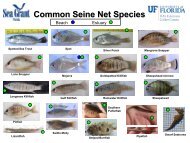 Seine Net Species ID Sheet