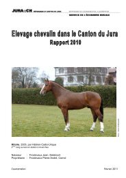 Rapport - Elevage chevalin 2010 - République et Canton du Jura