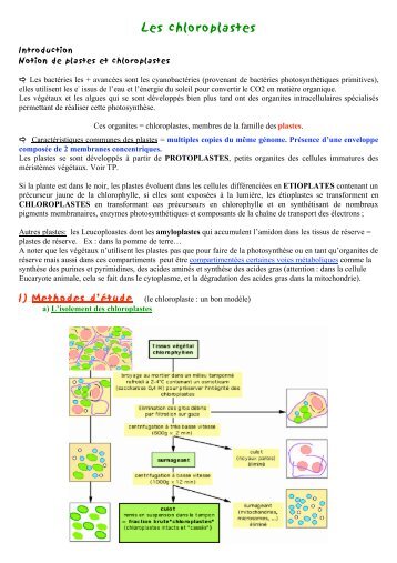 Les chloroplastes - culturebiotech