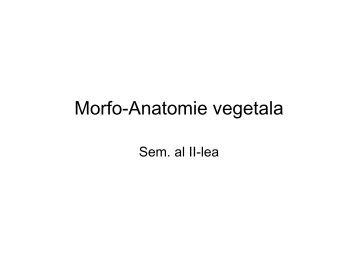 Morfo-Anatomie vegetala - UBM :: Departamentul de Chimie-Biologie