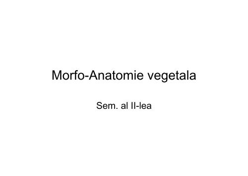 Morfo-Anatomie vegetala - UBM :: Departamentul de Chimie-Biologie