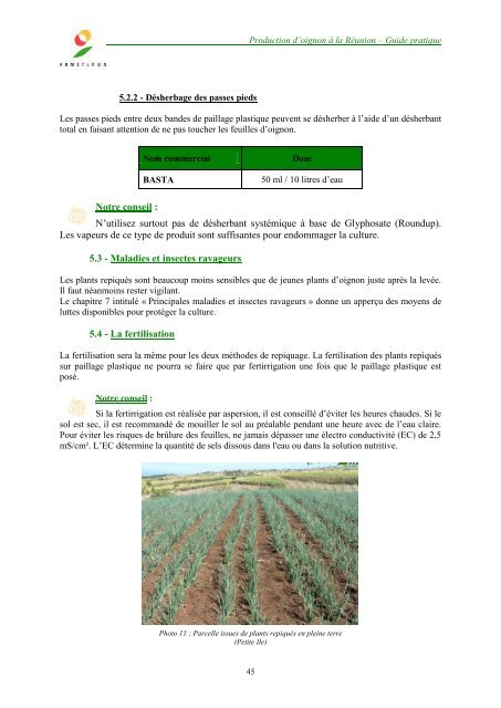 Production d'oignon à partir de bulbilles : - ARMEFLHOR