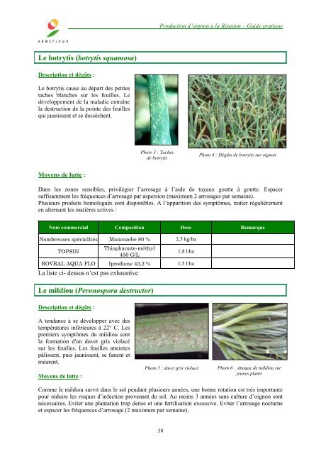 Production d'oignon à partir de bulbilles : - ARMEFLHOR