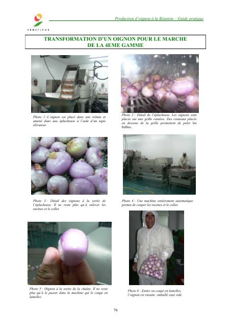 Production d'oignon à partir de bulbilles : - ARMEFLHOR