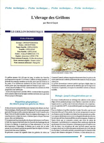 L'élevage des grillons / Insectes n° 58 - Inra