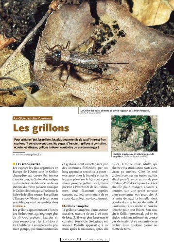 Les grillons / Insectes n° 129 - Inra