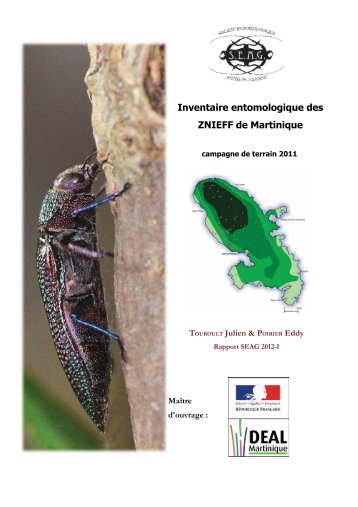 Inventaire entomologique des ZNIEFF de Martinique - DEAL de la ...