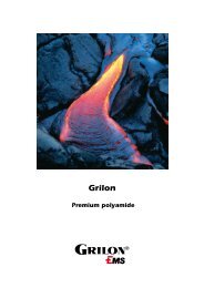 Grilon. Premium polyamide - ems-grivory