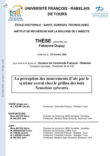 La perception des mouvements d'air par le système cercal chez le ...