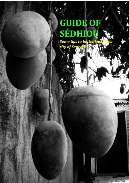 GUIDE OF SÉDHIOU - Cesie