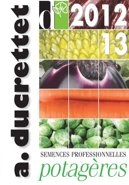Organique végétale Moutarde CHICOREE rouge striées 2 G ~ 1400 graines