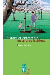 Planter et entretenir les arbres fruitiers - Parc naturel régional Oise ...