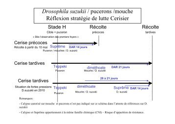 stratégie puc_droso_mouche_2011 - FREDON Corse