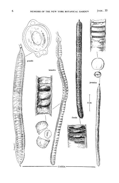 Cassiinae pt 1 NY-Botanical_gardens_Vol. 35_1 - Copy.pdf - Antbase