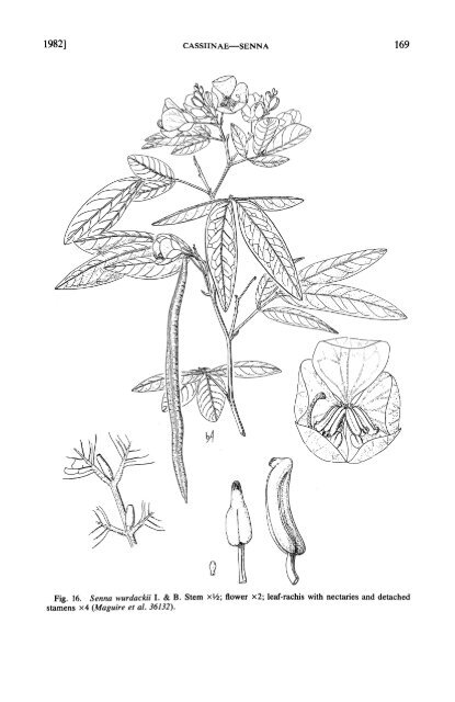 Cassiinae pt 1 NY-Botanical_gardens_Vol. 35_1 - Copy.pdf - Antbase