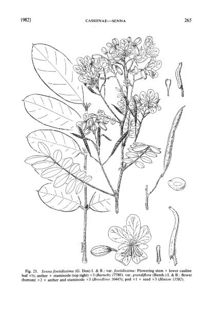 Cassiinae pt 1 NY-Botanical_gardens_Vol. 35_1 - Copy.pdf - Antbase