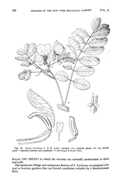 Cassiinae pt 1 NY-Botanical_gardens_Vol. 35_1 - Copy.pdf - Antbase