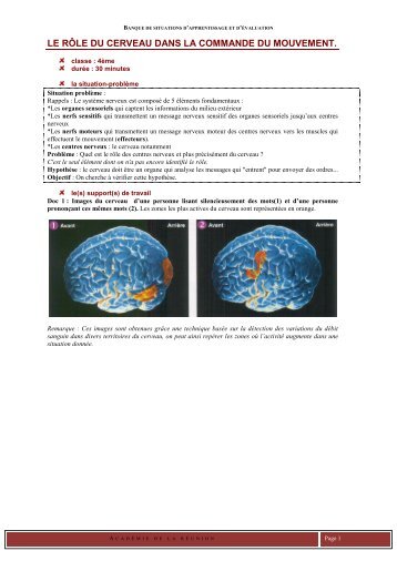LE RÔLE DU CERVEAU DANS LA COMMANDE DU MOUVEMENT.