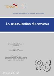 La sexualisation du cerveau - Université de Rennes 1