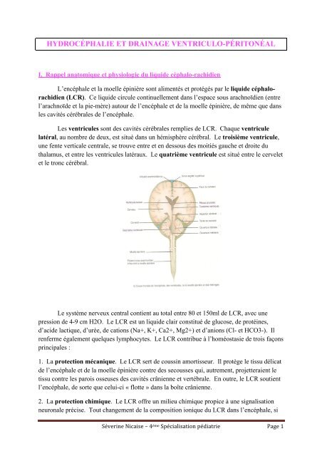 Hydrocéphalie et drainage ventriculo-péritonéal - Erpicum, Famille