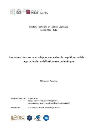 Les interactions cervelet – hippocampe dans la cognition spatiale ...