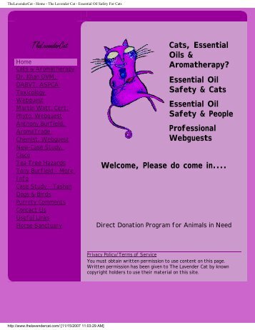 Cats, Essential Oils & Aromatherapy? - The Lavender Cat