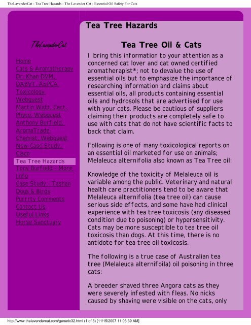 Cats, Essential Oils & Aromatherapy? - The Lavender Cat