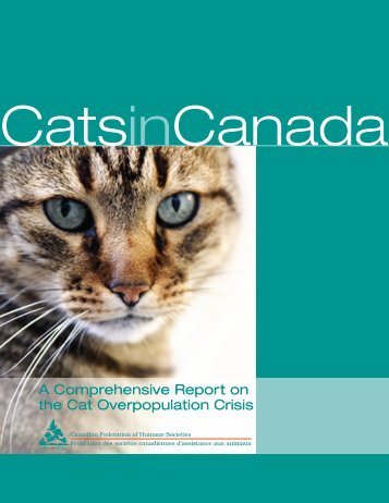 A Comprehensive Report on the Cat Overpopulation Crisis