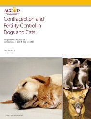 Contraception and Fertility Control in Dogs and Cats - Stray Animal ...