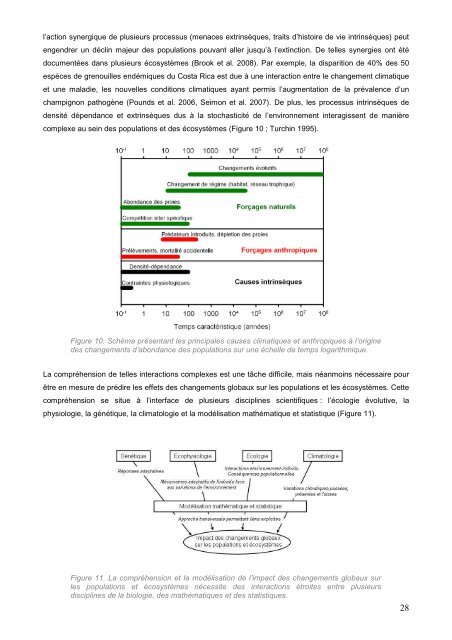 Forçage environnemental et prédateurs marins ... - Cebc - CNRS