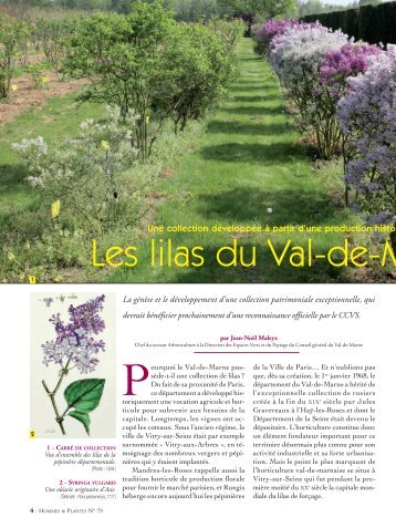 Lilas 79 OK PM 2:Mise en page 1 - Conseil général du Val-de-Marne
