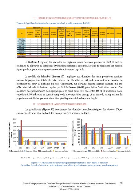 Etude d'une population de Cistude d'Europe - (CPIE) Pays Gersois