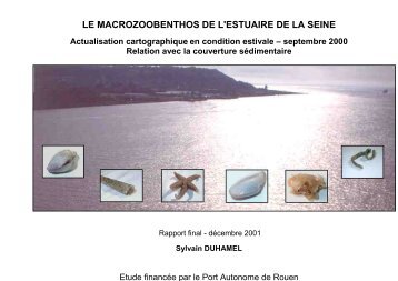 le macrozoobenthos de l'estuaire de la seine - Port de Rouen