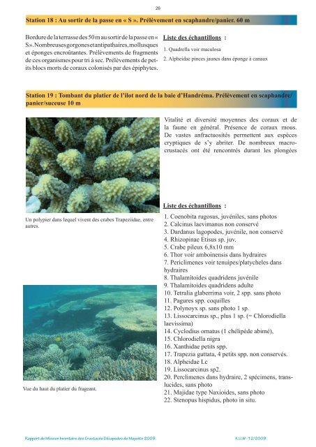 Bouchard et al., 2009 - pp. 1-48 (2.4 Mo) - Crustacés de Mayotte