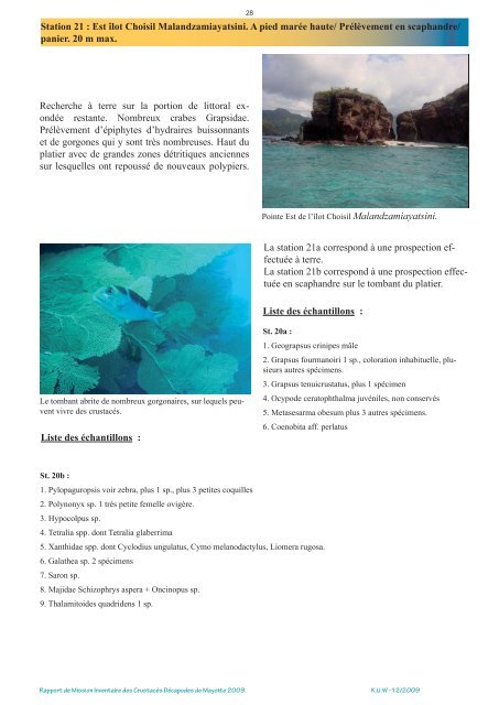 Bouchard et al., 2009 - pp. 1-48 (2.4 Mo) - Crustacés de Mayotte