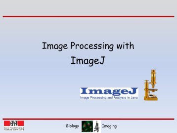 Image Processing with ImageJ.pdf - EPFL