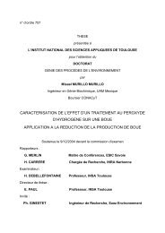 caracterisation de l'effet d'un traitement au peroxyde d'hydrogene ...