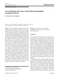 Ant colonization and coarse woody debris decomposition in ...