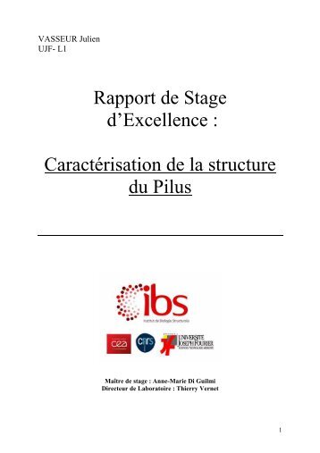 Rapport stage IBS final