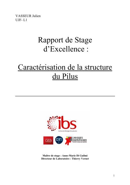 Rapport stage IBS final
