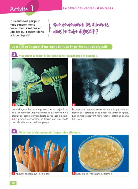 Le devenir du contenu d'un repas - Hachette