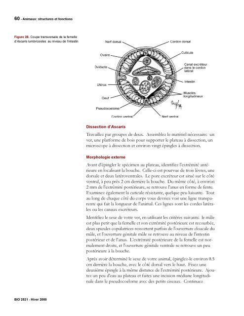 Protocole - Simulium bio Ottawa - Université d'Ottawa